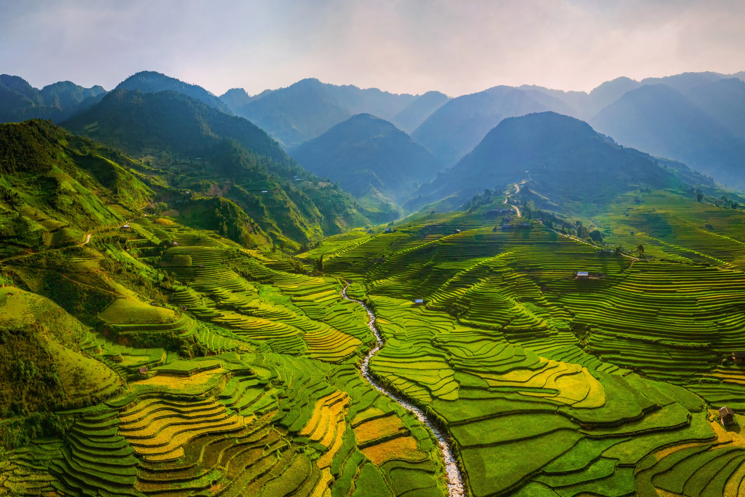 Aerial top view of paddy rice terraces, green agricultural fields in countryside or rural area of Mu Cang Chai, Yen Bai, mountain hills valley at sunset in Asia, Vietnam. Nature landscape background.